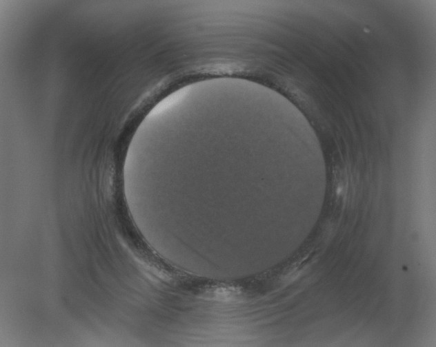 X0000080760304200701122036