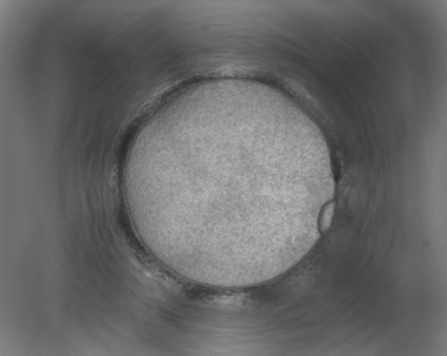 X0000080760306200701122036