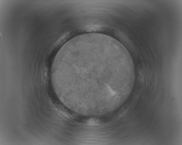 X0000080760308200701122036