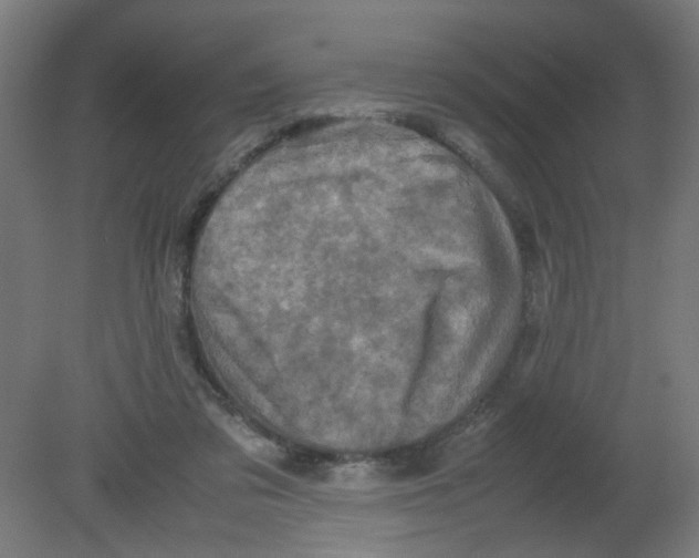 X0000080760309200701122036