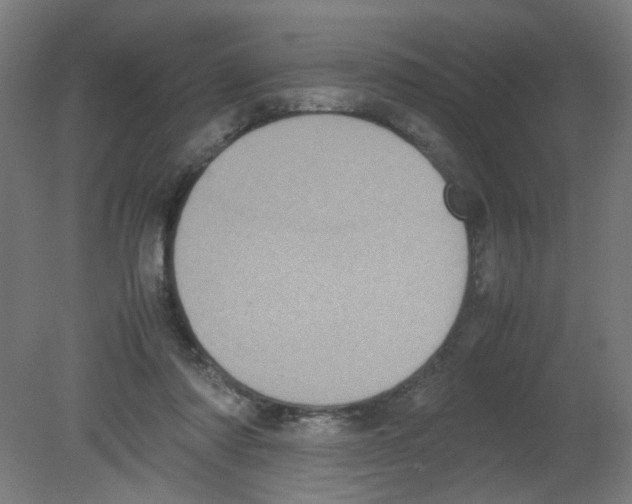 X0000080760310200701122036