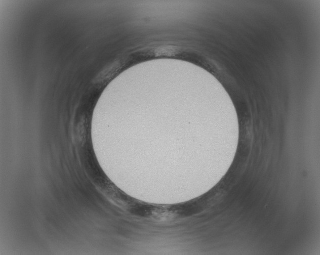 X0000080760311200701122036