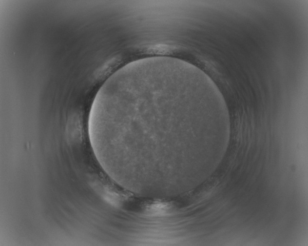 X0000080760312200701122036