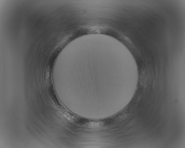 X0000080760314200701122036