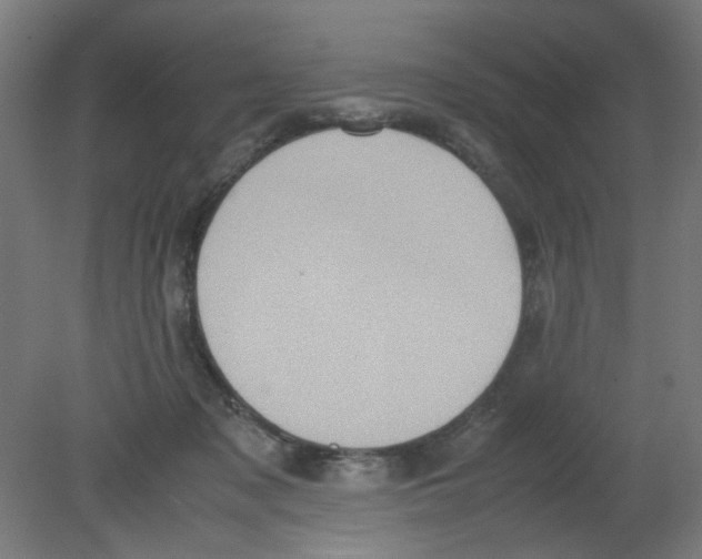 X0000080760317200701122036