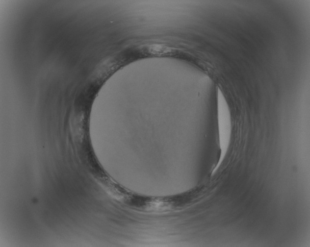 X0000080760319200701122036