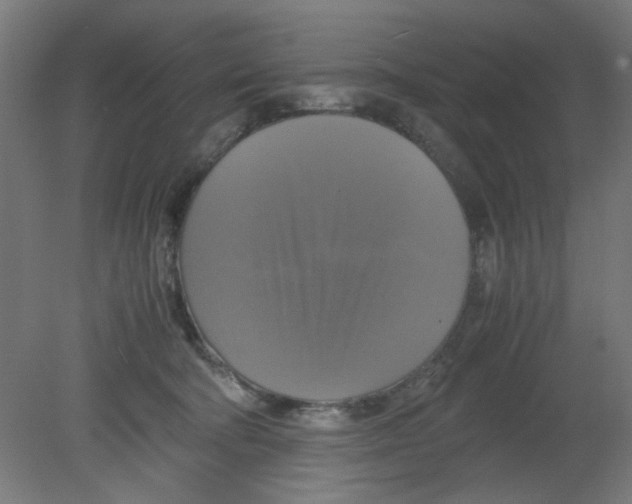 X0000080760322200701122036
