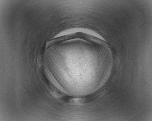 X0000080760323200701122036