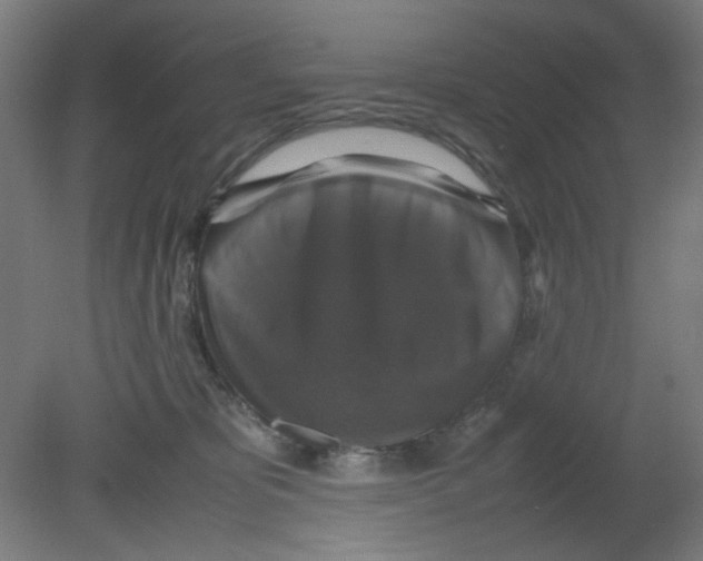 X0000080760325200701122036