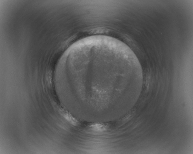 X0000080760326200701122036