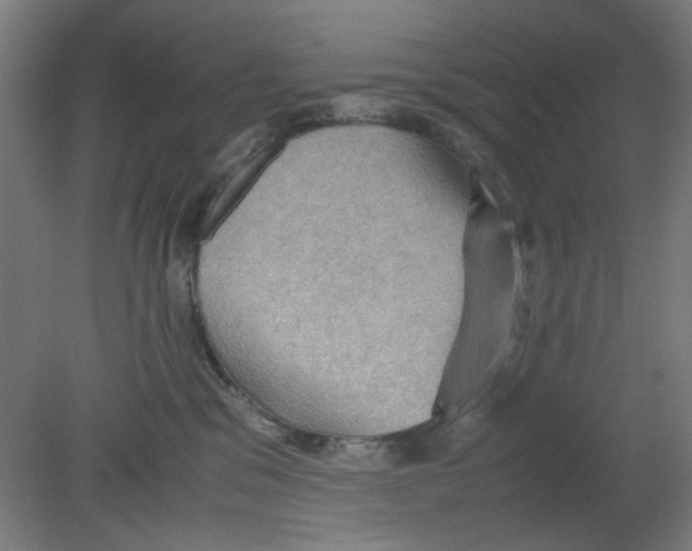 X0000080760329200701122036