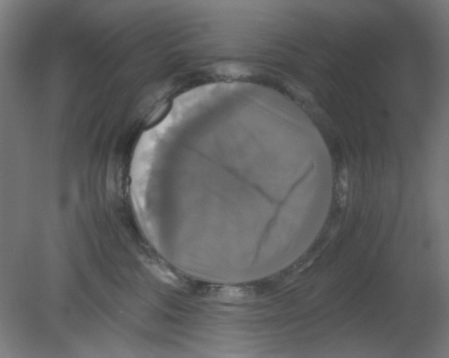 X0000080760330200701122036