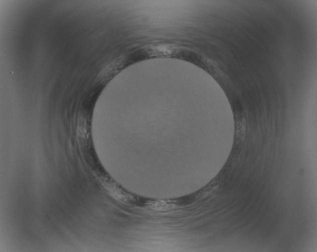 X0000080760331200701122036