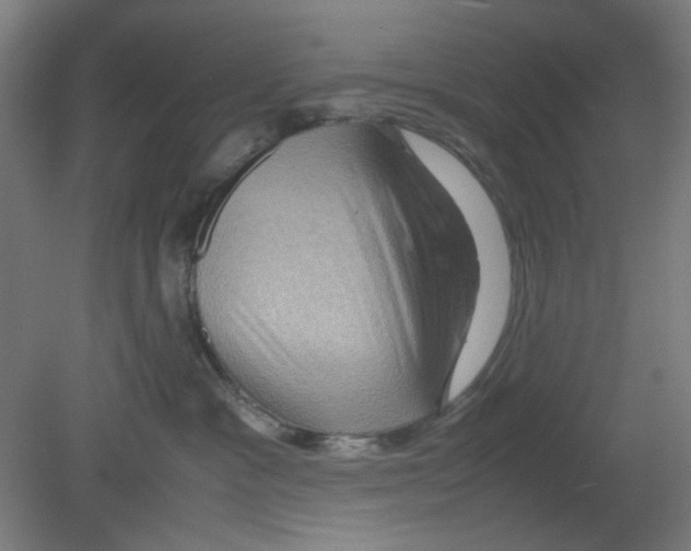 X0000080760333200701122036
