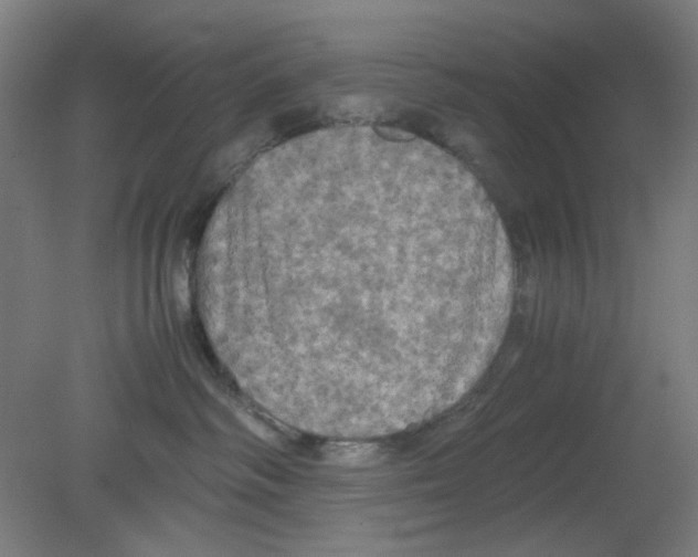 X0000080760334200701122036