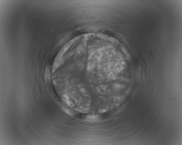 X0000080760335200701122036