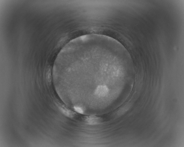 X0000080760336200701122036