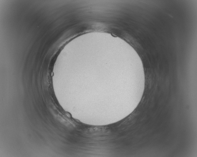 X0000080760338200701122035