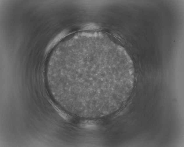 X0000080760341200701122035