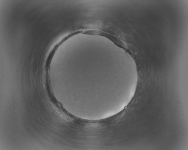 X0000080760342200701122035