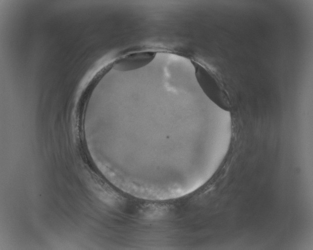 X0000080760343200701122035