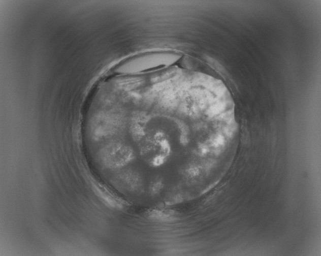 X0000080760346200701122035