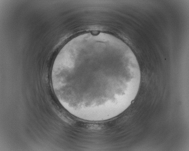X0000080760347200701122035