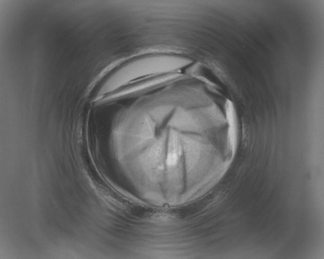 X0000080760348200701122035