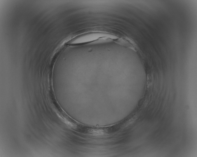 X0000080760349200701122035
