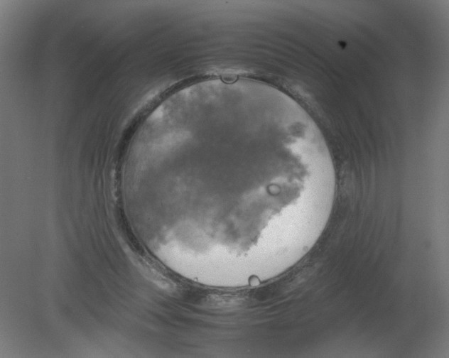 X0000080760351200701122035
