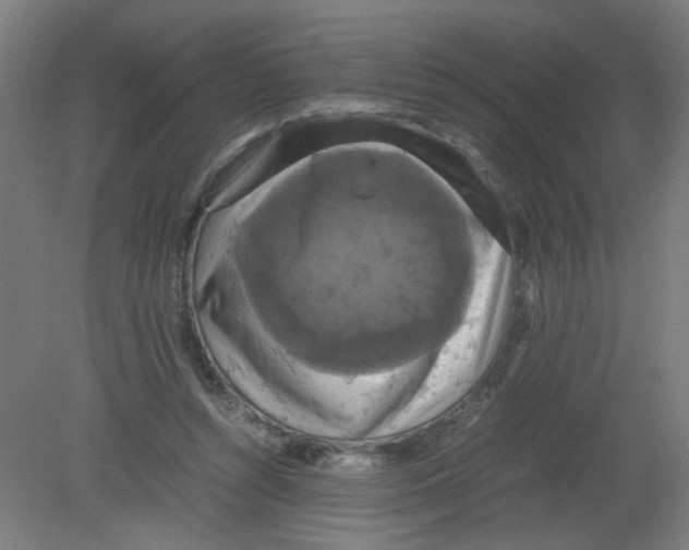 X0000080760352200701122035