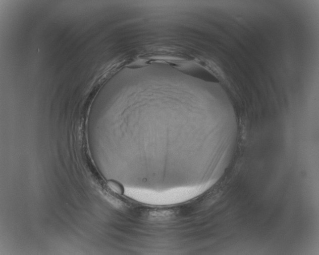 X0000080760357200701122035