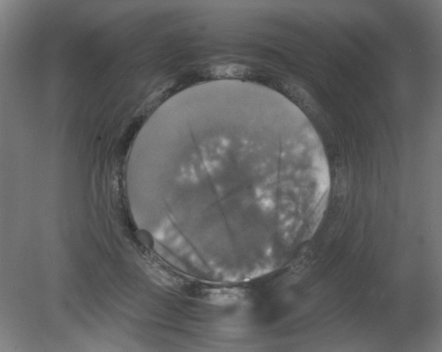 X0000080760363200701122035