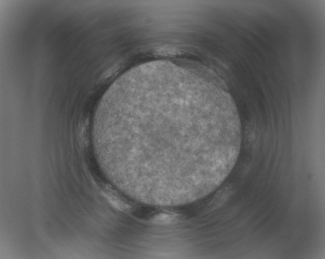 X0000080760364200701122035