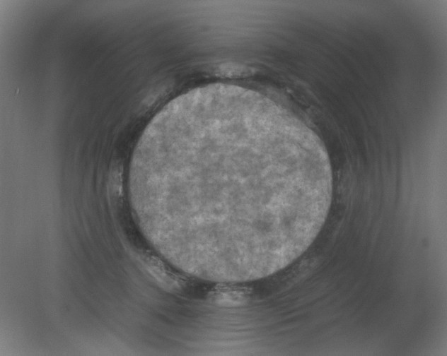 X0000080760368200701122035
