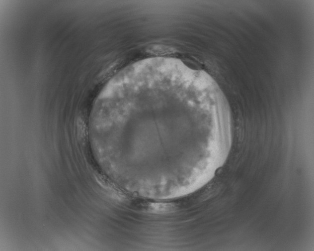 X0000080760371200701122035