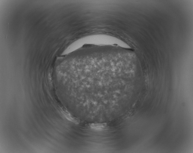 X0000080760373200701122035