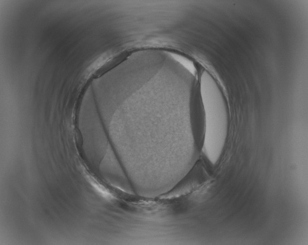 X0000080760389200701122035