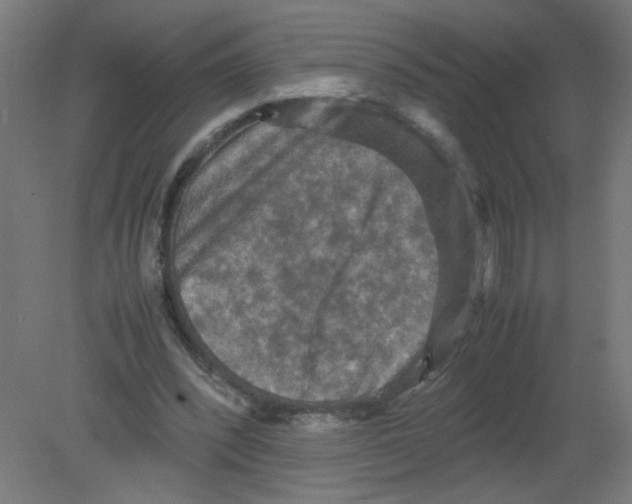 X0000080760392200701122035