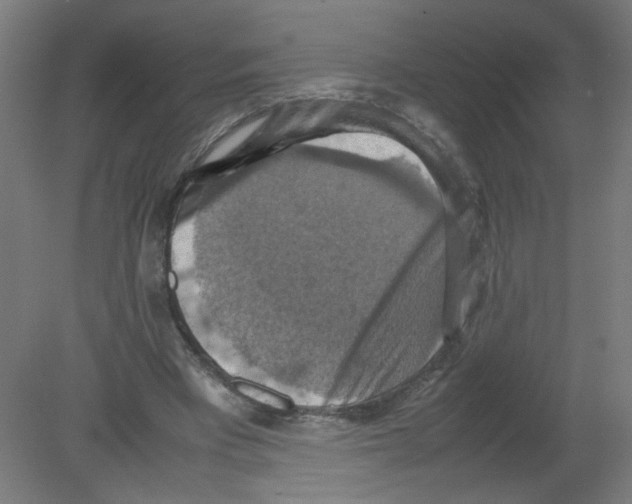 X0000080760393200701122035