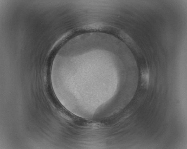 X0000080760396200701122035