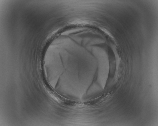 X0000080760399200701122035