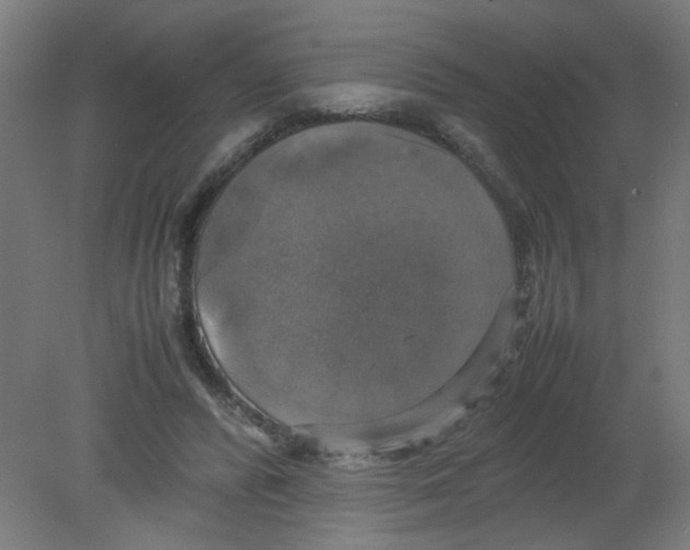 X0000080760400200701122035