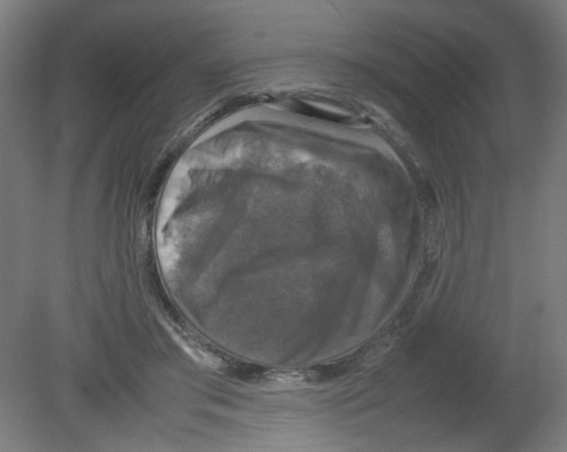 X0000080760405200701122034