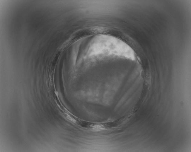 X0000080760409200701122034