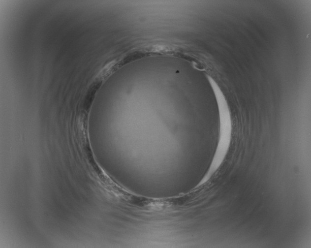 X0000080760415200701122034