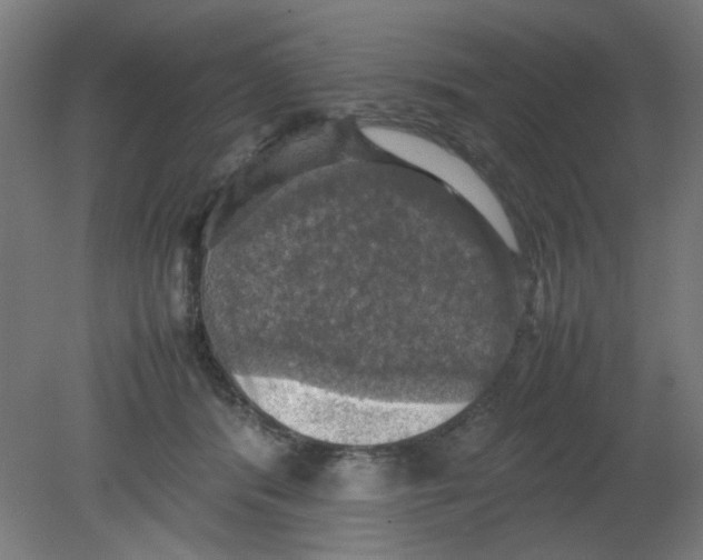 X0000080760416200701122034