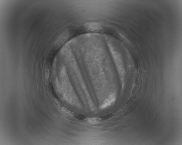 X0000080760417200701122034