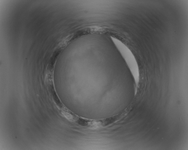 X0000080760419200701122034