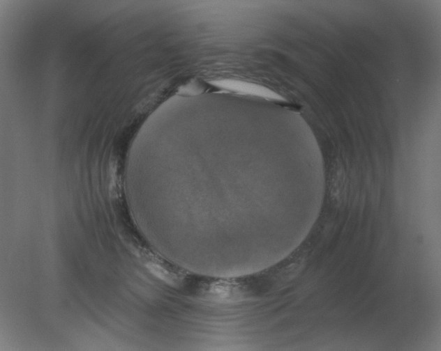 X0000080760420200701122034